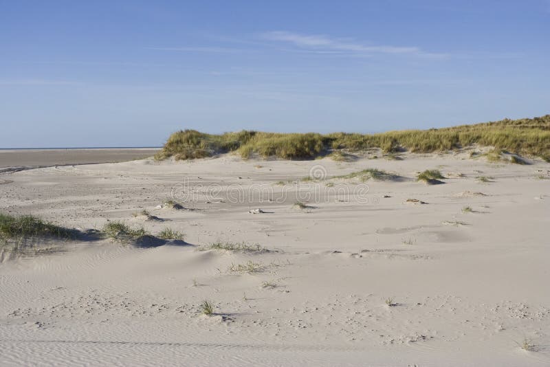 Duinen op Vlieland, dyn på Vlieland arkivbild Duinen op Vlieland, dyn på Vlieland arkivbild