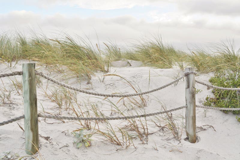 Duinlandschap stock foto's