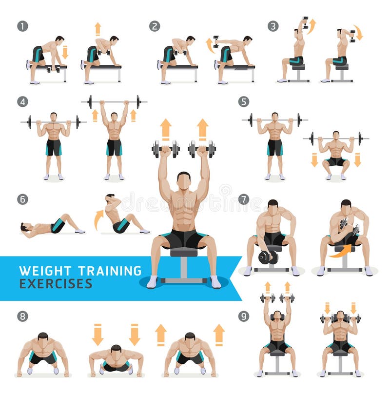 Men doing Squat exercise, Men workout fitness, aerobic and exercises.  Vector Illustration Stock Vector Image & Art - Alamy