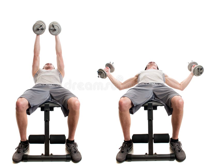 221 Dumbbell Fly Stock Photos - Free & Royalty-Free Stock Photos from  Dreamstime