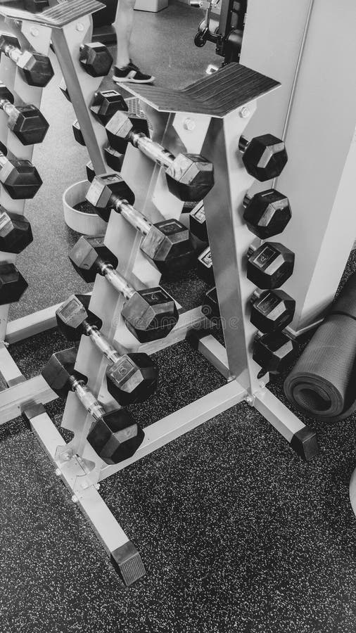 Bodybuilding, Sports Equipment. Stock Image Image of membership