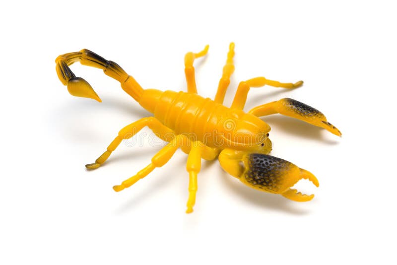 toy scorpion insects