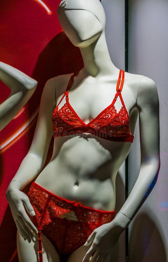 Dummy Showing Female Underwear, Embroidered Luxurious Slip and Bra