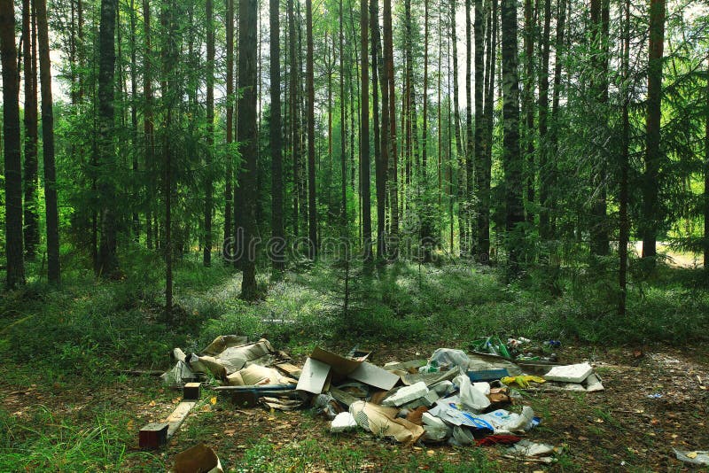 Dump in the woods stock photo. Image of heap, conservation 62309896