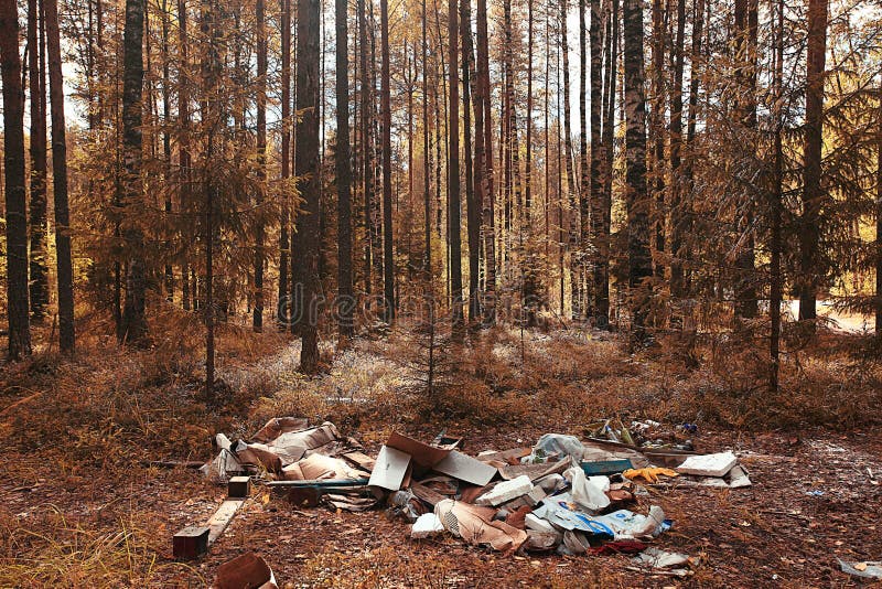 Dump in the woods stock image. Image of littering, dirt 62351041