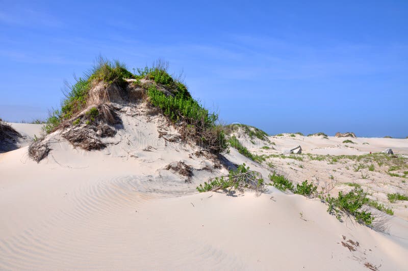 Duna de areia no cabo Hatteras, North Carolina foto de stock royalty free Duna de areia no cabo Hatteras, North Carolina foto de stock royalty free