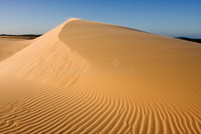 Duna de arena Duna de arena