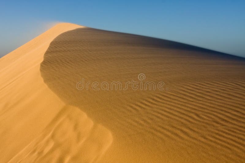 Duna de arena Duna de arena