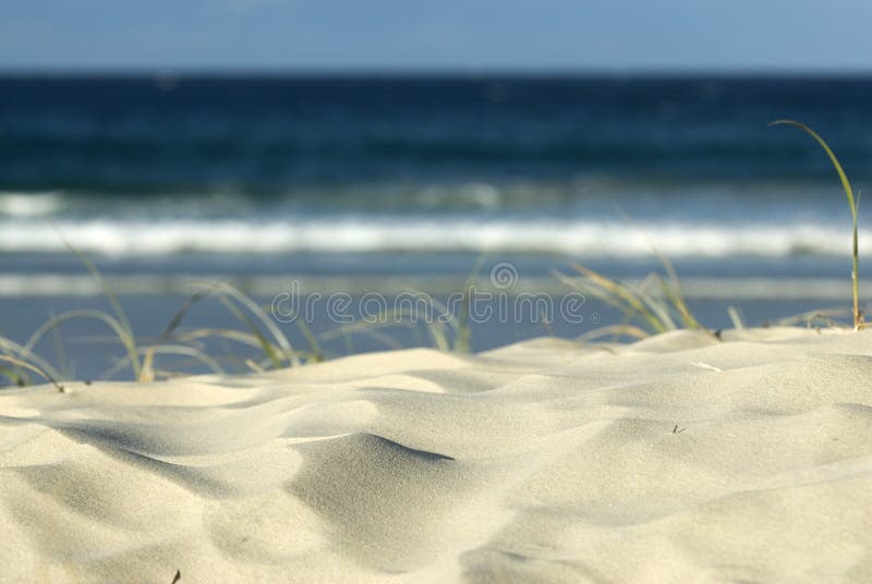 Duna de arena en la playa