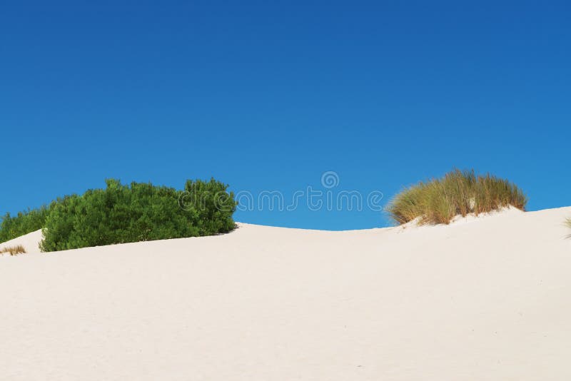 Dunas de areia brancas fotos de stock Dunas de areia brancas fotos de stock