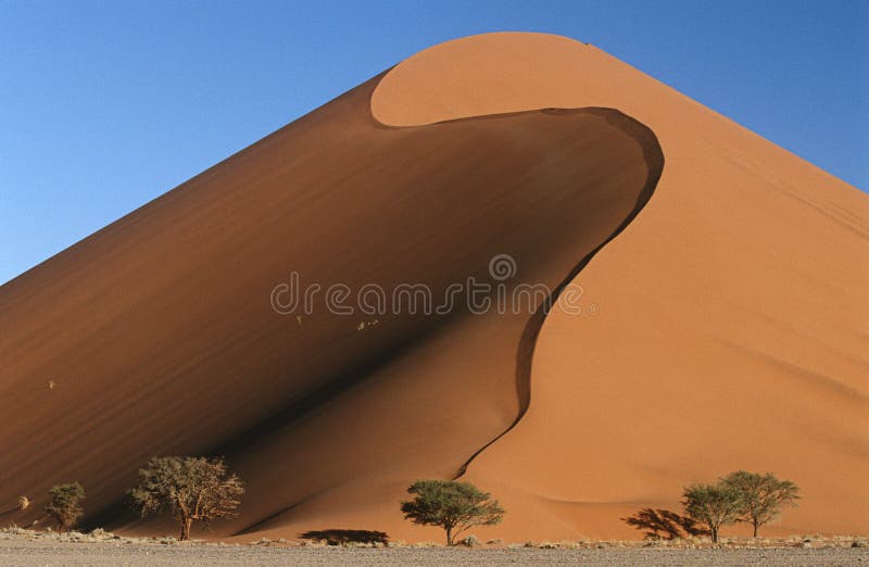 Dunas de areia do deserto de Namíbia Namib