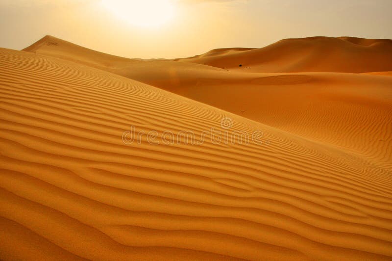 Dunas de arena Abu Dhabi Dubai fotos de archivo Dunas de arena Abu Dhabi Dubai fotos de archivo