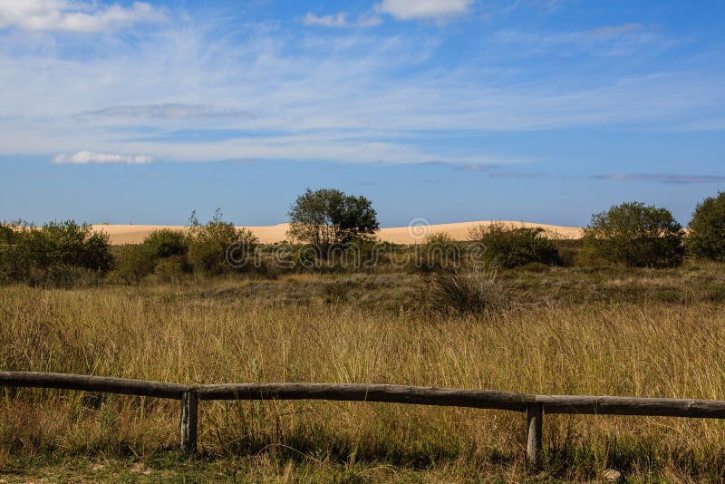Dunas de arena en el fondo de un campo imágenes de archivo libres de regalías Dunas de arena en el fondo de un campo imágenes de archivo libres de regalías