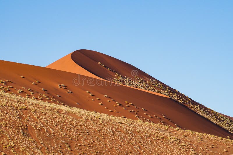 Dunas de arena en la cacerola de Sossusvlei en Namibia ?frica fotos de archivo Dunas de arena en la cacerola de Sossusvlei en Namibia ?frica fotos de archivo