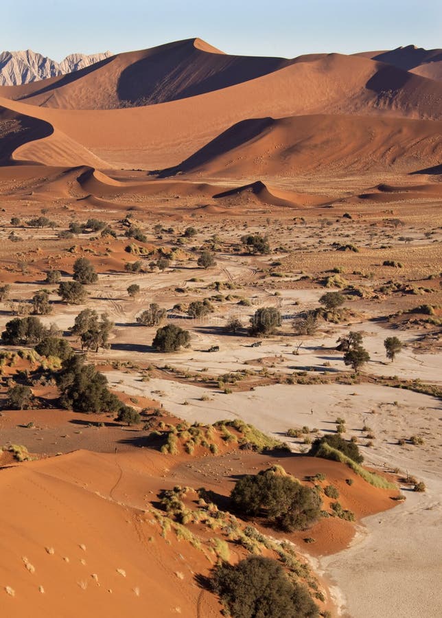 Dunas de arena en Sossusvlie - Namibia imagen de archivo libre de regalías Dunas de arena en Sossusvlie - Namibia imagen de archivo libre de regalías