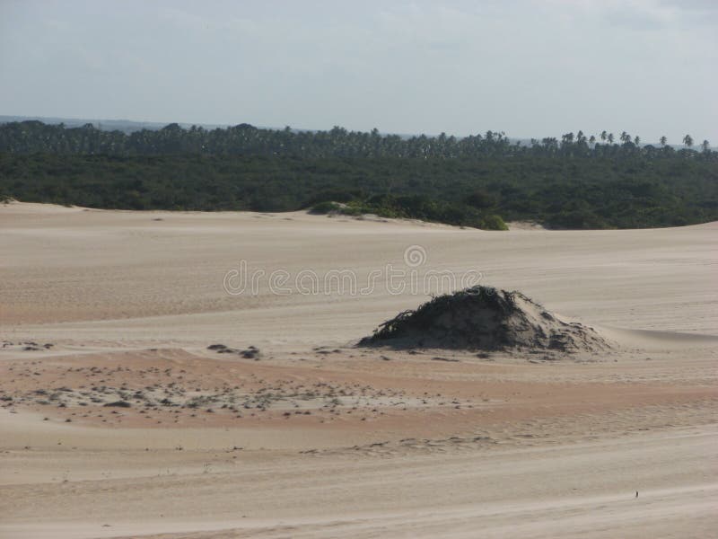 Dunas Y Desierto En Natal, RN, El Brasil Imagen de archivo - Imagen de temperatura, acontecimiento: 80826307 Dunas Y Desierto En Natal, RN, El Brasil Imagen de archivo - Imagen de temperatura, acontecimiento: 80826307