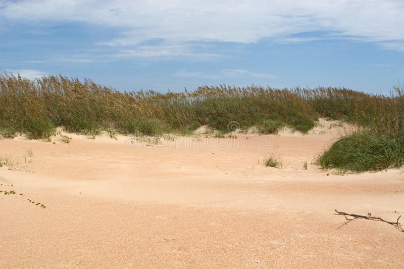 Dune dell'allerta del capo fotografia stock Dune dell'allerta del capo fotografia stock