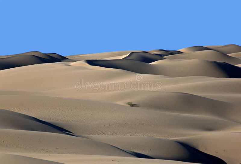 These dunes are in the very southeast corner of California, west of Yuma, Arizona, and right on the Mexican border. This is one of the hottest and most arid areas in the United States. These dunes are in the very southeast corner of California, west of Yuma, Arizona, and right on the Mexican border. This is one of the hottest and most arid areas in the United States.