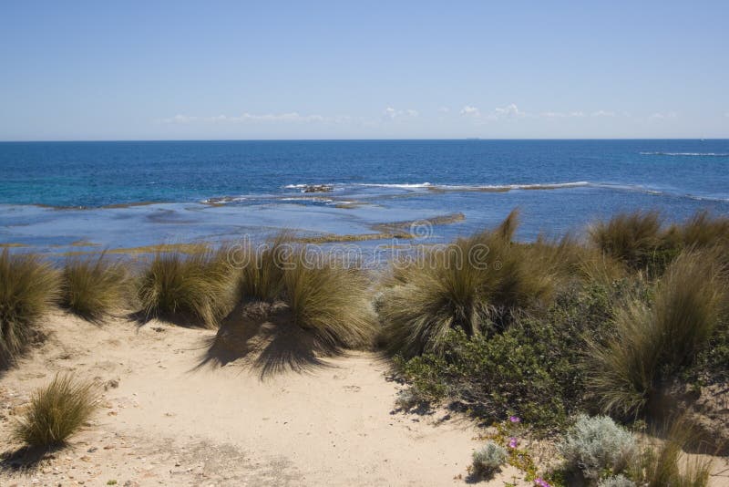 Dune and ocean