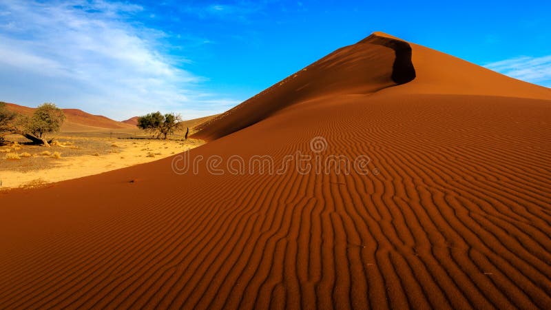 Dune 45, Sossusvlei, Namibia