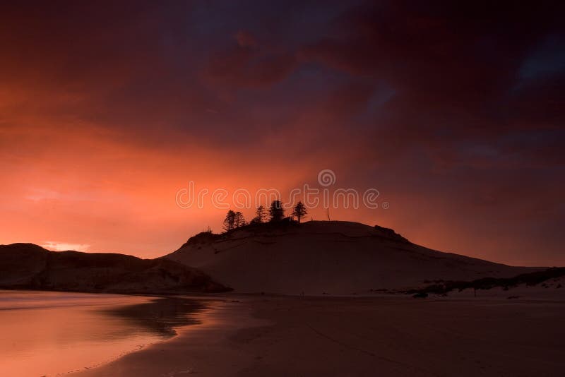 Dune at Sunset