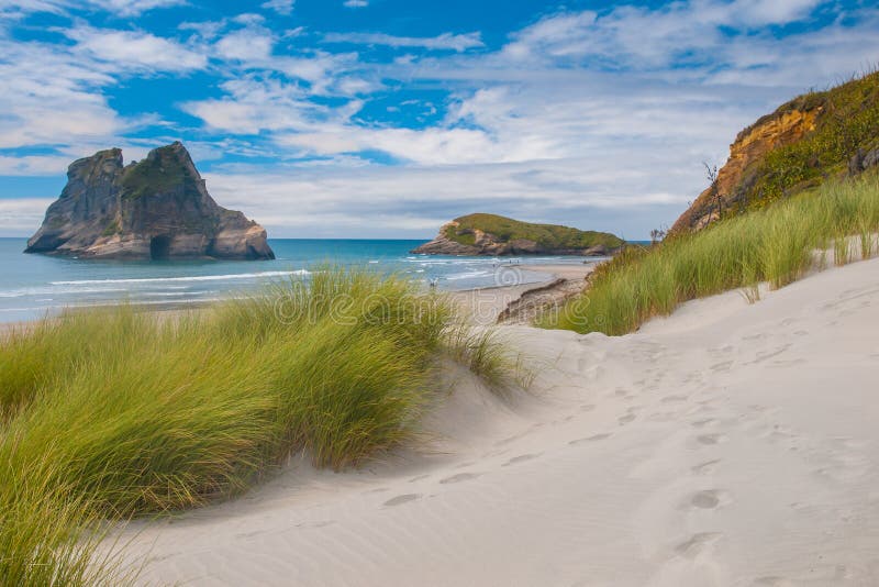 Dune vegetation at Famous Wharariki Beach, South Island, New Zealand