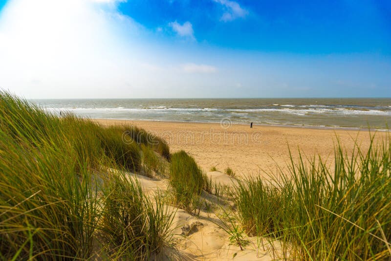 Dunes at Belgian north sea coast against cirrus and stratus clouds and reed grass royalty free stock photo Dunes at Belgian north sea coast against cirrus and stratus clouds and reed grass royalty free stock photo