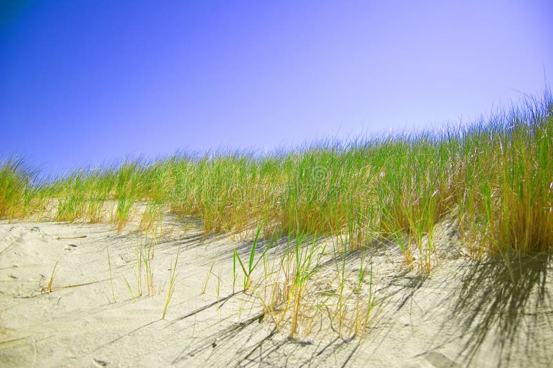 Dunes conceptual image.