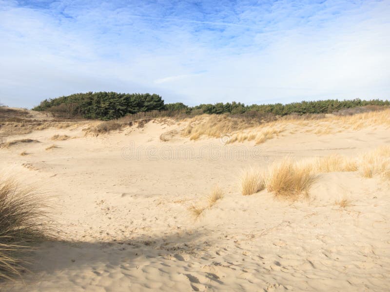 Dunes de sable images stock Dunes de sable images stock