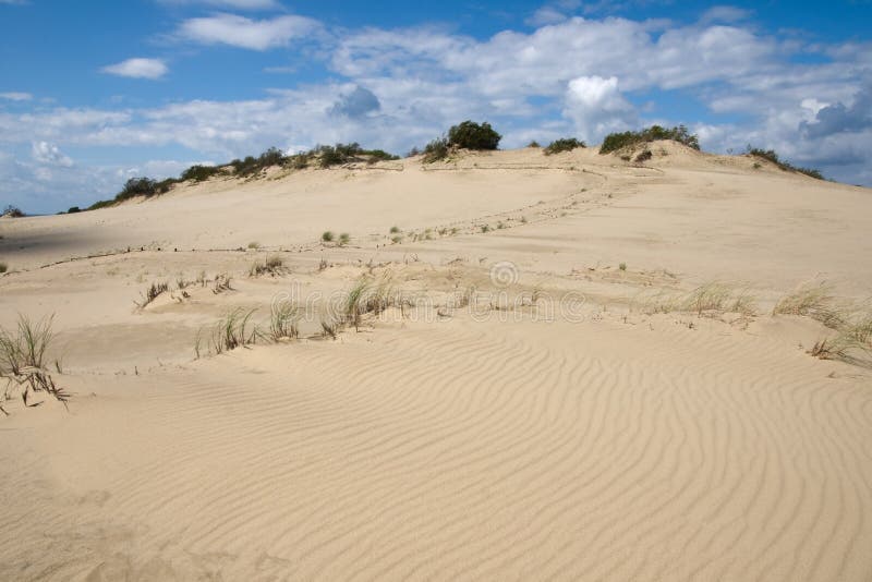 Parnidis sand dunes at Curonian spit in Lithuania. UNESCO world heritage site. Parnidis sand dunes at Curonian spit in Lithuania. UNESCO world heritage site