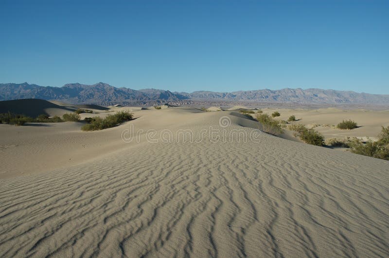 Dunes de sable de Death Valley N.P.