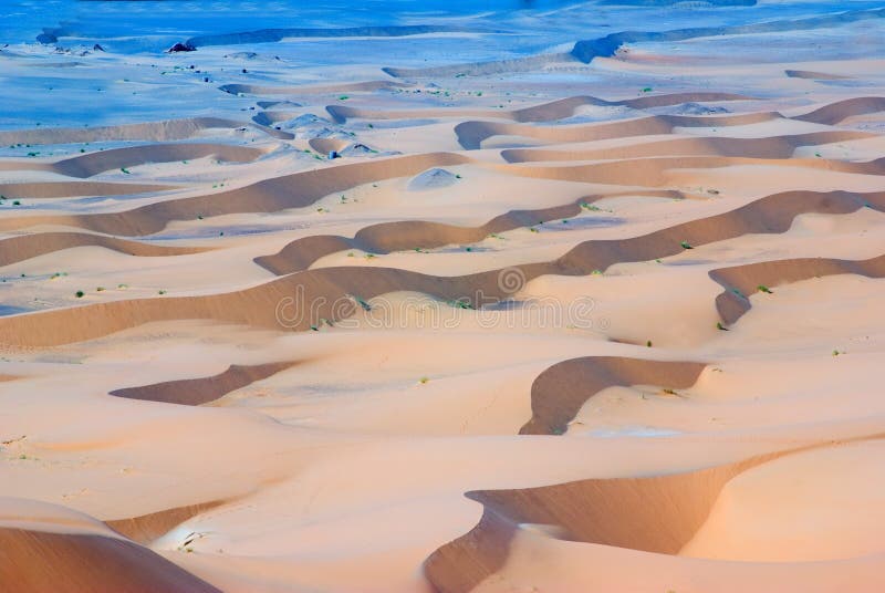 Dunes of desert
