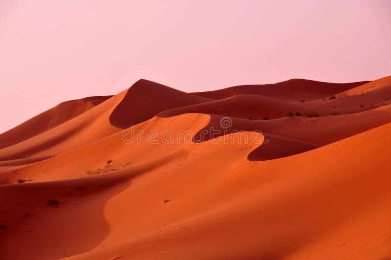 Dunes in the desert of Morocco