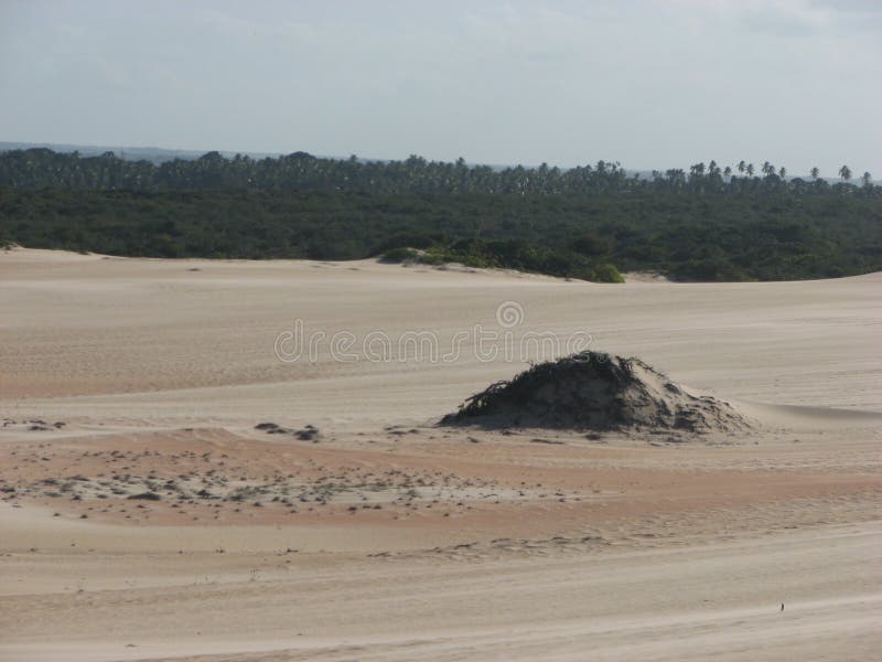 Dunes and desert in Natal, RN, Brazil
