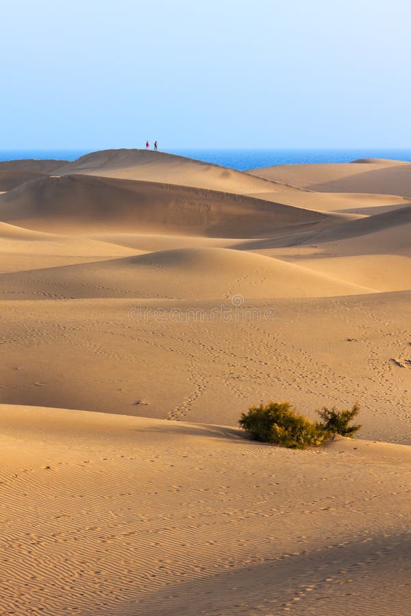 Dunes Of Maspalomas, Grand Canary, Spain Stock Image Image of tourist
