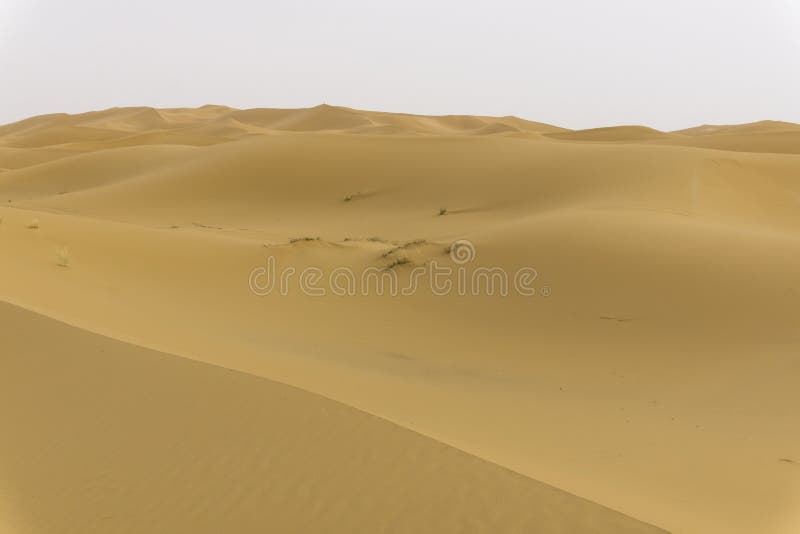 Download Dunes in sahara desert stock photo. Image of africa, panorama - 31307922