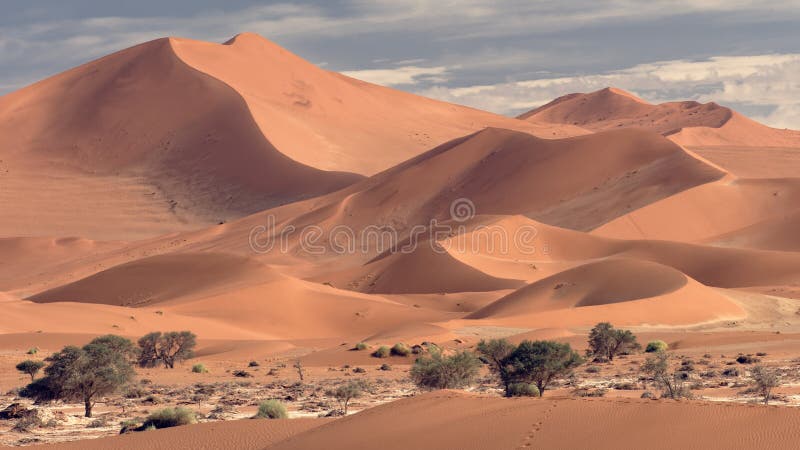 Big Mamma Dune, Sossusvlei, Namibia