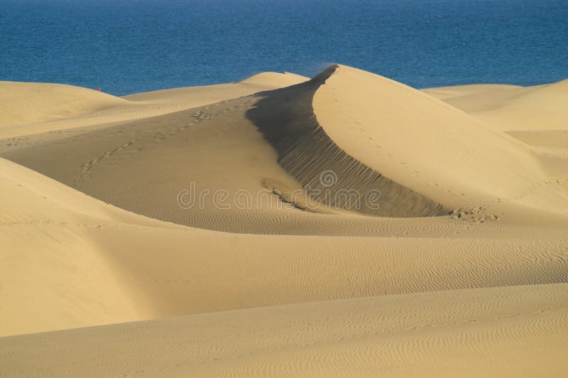 Dunes and sea