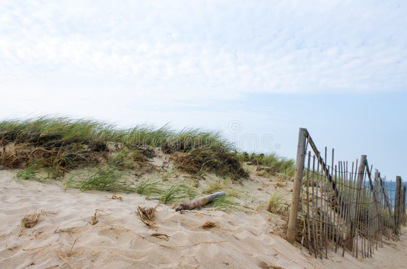 Dunes and sea grass and a bamboo barricade fence to control the drift of the sand on Cape Cod