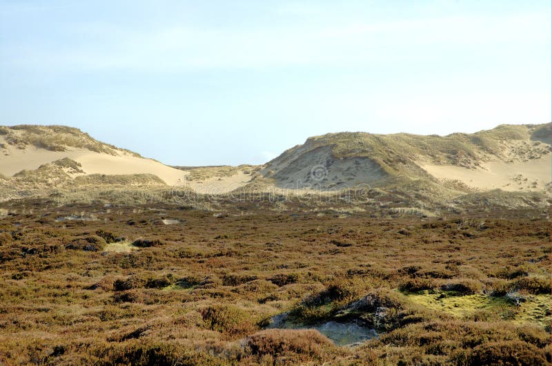 Dunescape Sylt 6