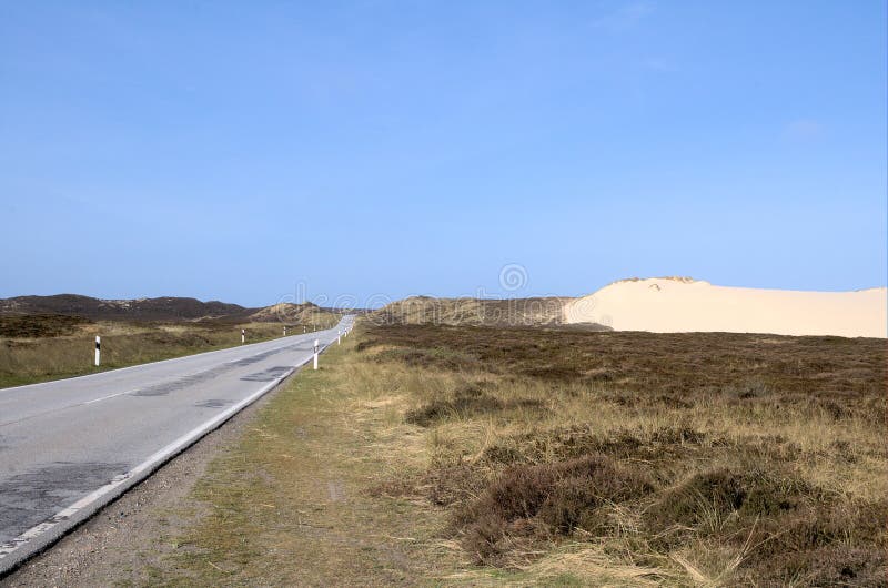 Dunescape Sylt 8