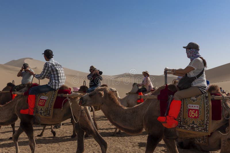 Group of Chinese tourists riding camels at the Echoing Sand Mountain near the city of Dunhuang, in the Gansu Province, China. stock photography Group of Chinese tourists riding camels at the Echoing Sand Mountain near the city of Dunhuang, in the Gansu Province, China. stock photography
