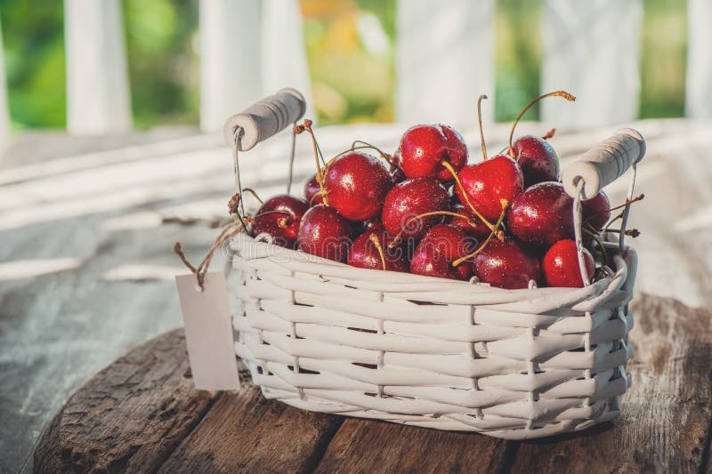 Dunkelrote reife große Kirschen in einem weißen Weidenkorb auf einem Holztisch, selektiver Fokus Abschluss oben stockbild Dunkelrote reife große Kirschen in einem weißen Weidenkorb auf einem Holztisch, selektiver Fokus Abschluss oben stockbild