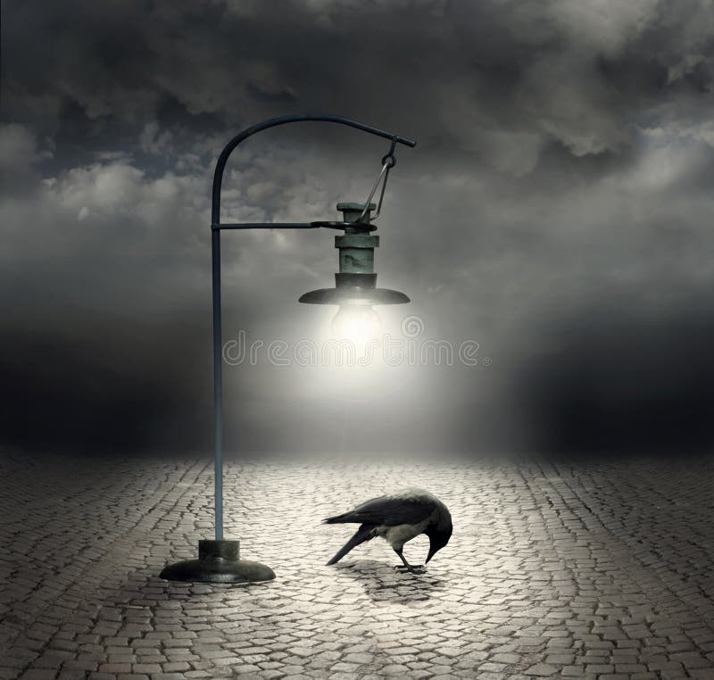Beautiful artistic image with a streetlight that illuminates a crow and cobblestones with a dark and cloudy sky on the background. Beautiful artistic image with a streetlight that illuminates a crow and cobblestones with a dark and cloudy sky on the background