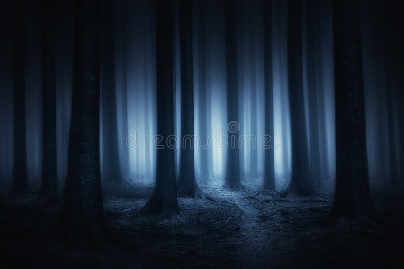 Dunkler und furchtsamer Wald nachts lizenzfreie stockfotos