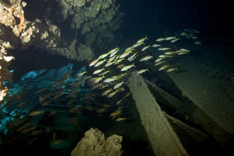 Dunraven wreck