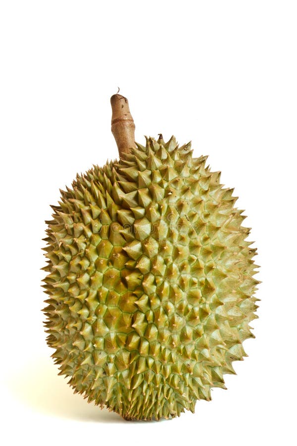 Durian, the king of fruit from Thailand. Durian, the king of fruit from Thailand