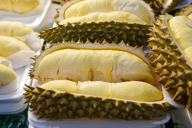 Durian en bandeja imágenes de archivo libres de regalías Durian en bandeja imágenes de archivo libres de regalías