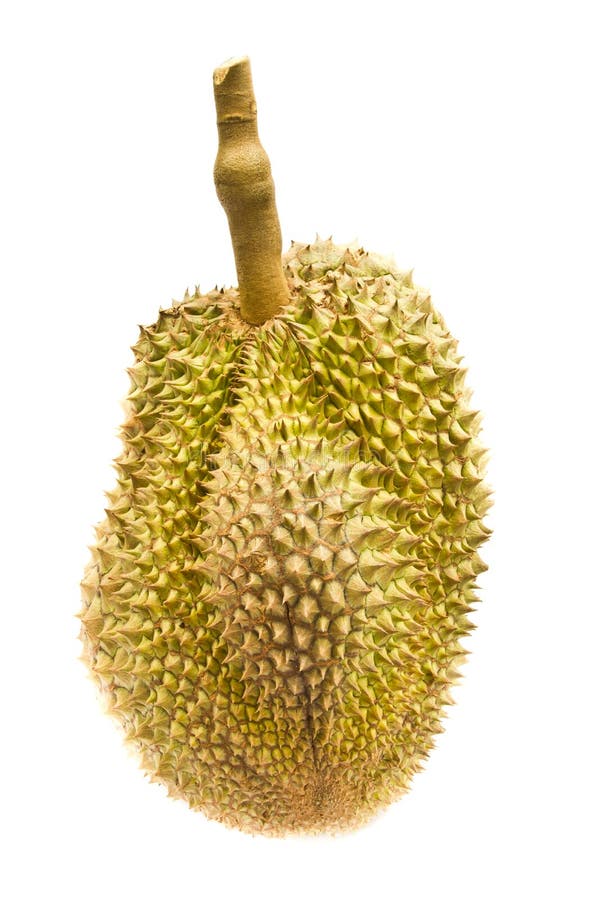 Durian fruit