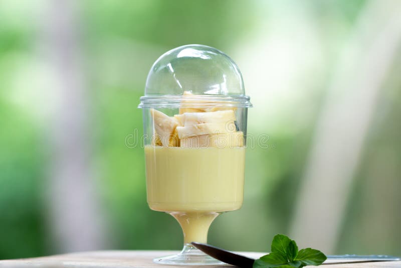 Durian Fruit Pudding in a Cup Home Made Traditional Fruit Dessert Stock